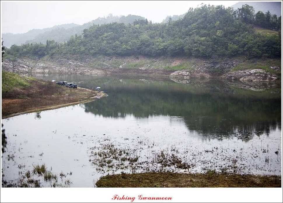 돌감 39 cm노지 마릿수 조황 (조황조행기 - 특파원조황)