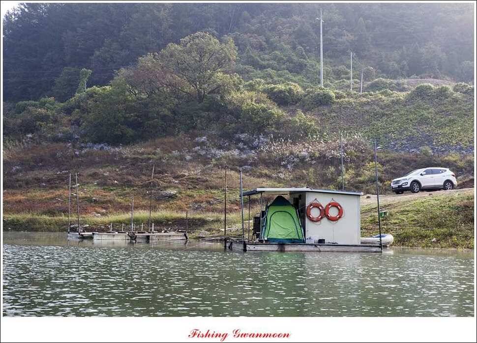 늘푸른 키로장어한버들실리곡짱가네 조황 소식 (조황조행기 - 특파원조황)
