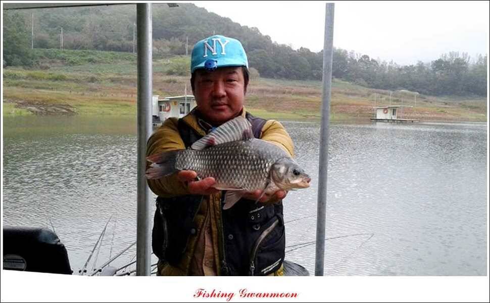 한버들실리곡돌감화곡지 조황 (조황조행기 - 특파원조황)