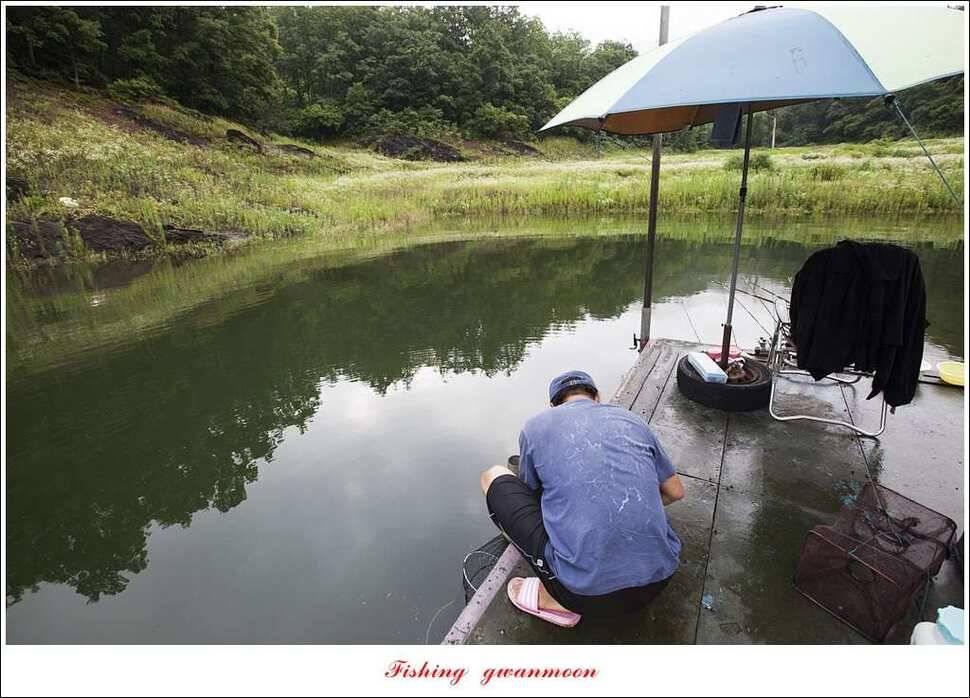 병호 사짜돌감실리곡 월척 조황 (조황조행기 - 특파원조황)