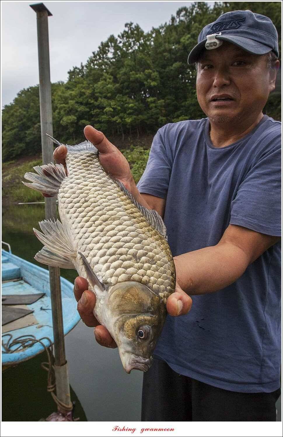 병호 사짜돌감실리곡 월척 조황 (조황조행기 - 특파원조황)
