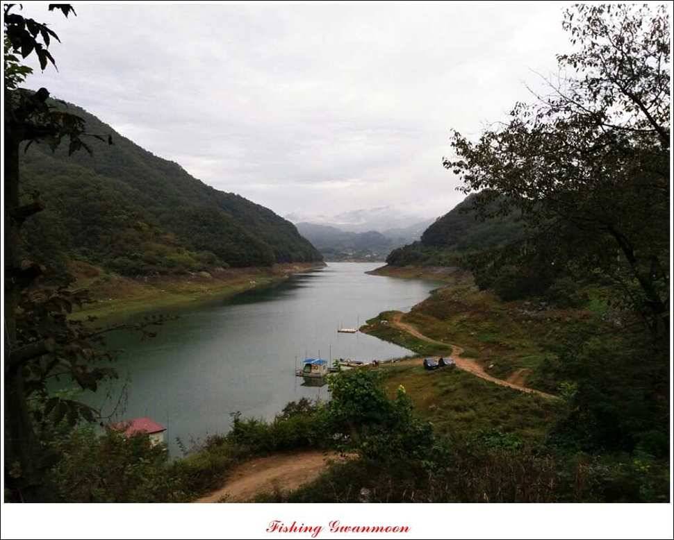 한버들실리곡돌감화곡지 조황 (조황조행기 - 특파원조황)