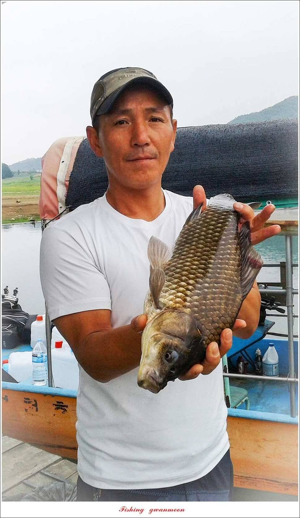 한버들 445 cm39 cm돌감실리곡 월척 조황 (조황조행기 - 특파원조황)