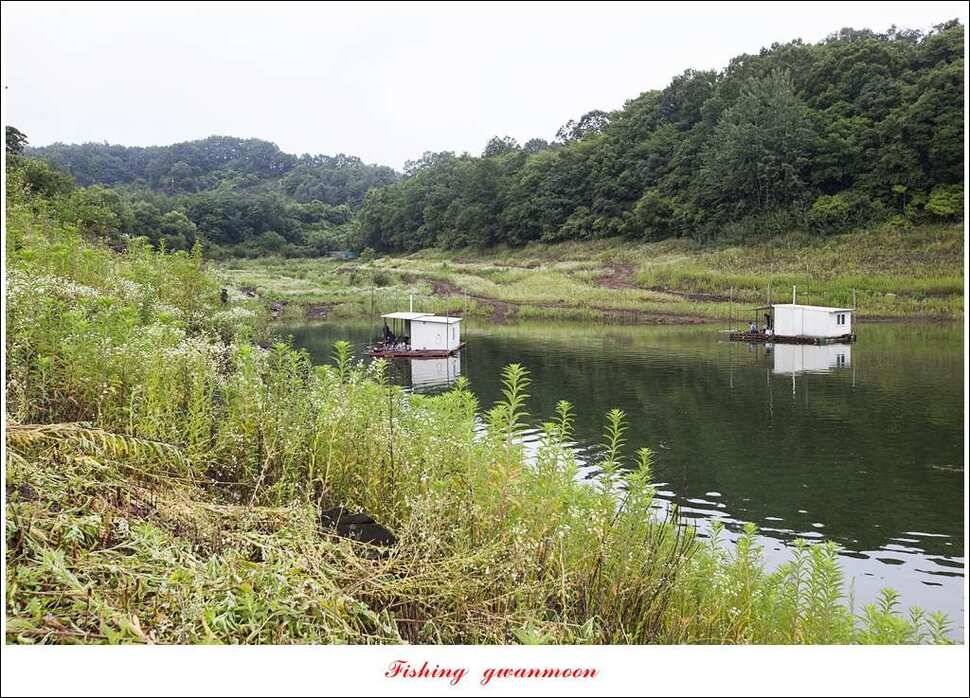 병호 사짜돌감실리곡 월척 조황 (조황조행기 - 특파원조황)