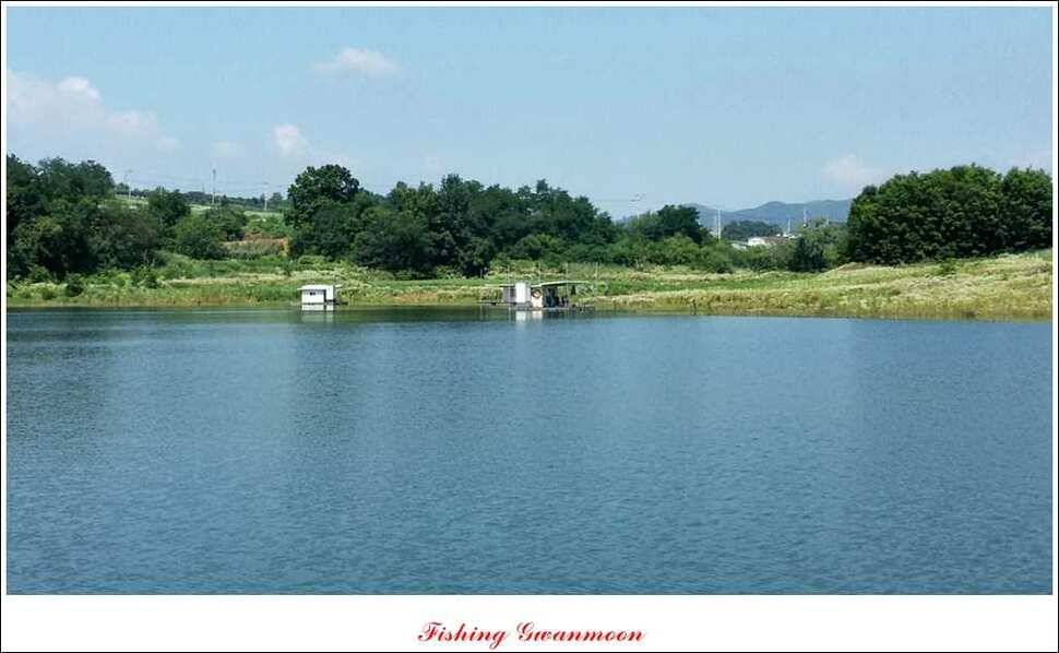 충주호 주말 조황 (조황조행기 - 특파원조황)