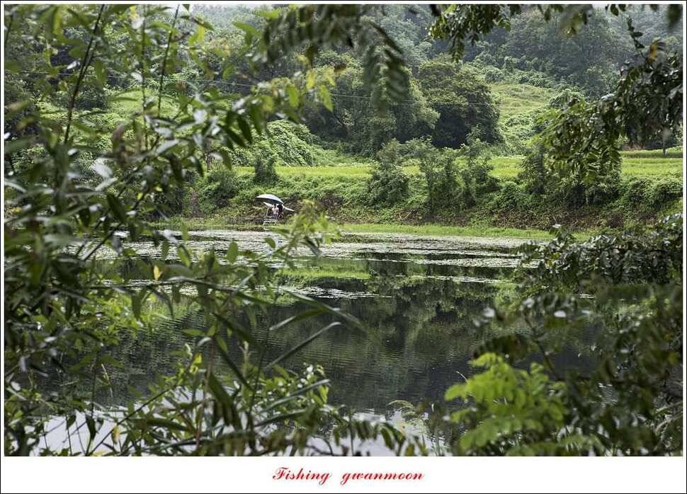 늘푸른 사짜화곡지실리곡소류지 사짜 조황 (조황조행기 - 특파원조황)