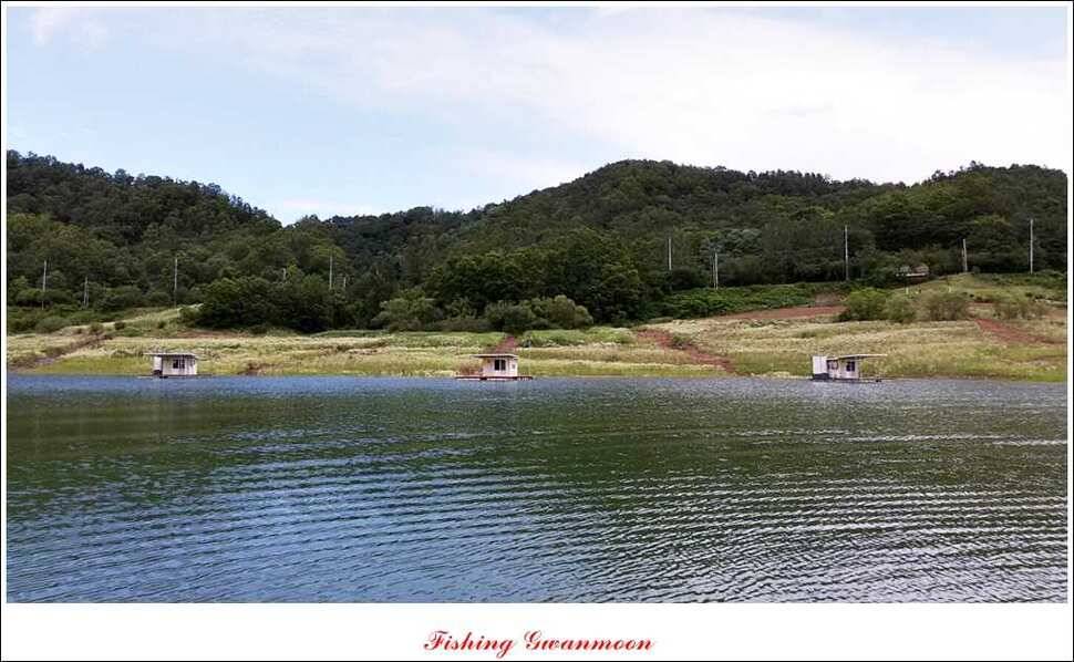 충주호 주말 조황 (조황조행기 - 특파원조황)