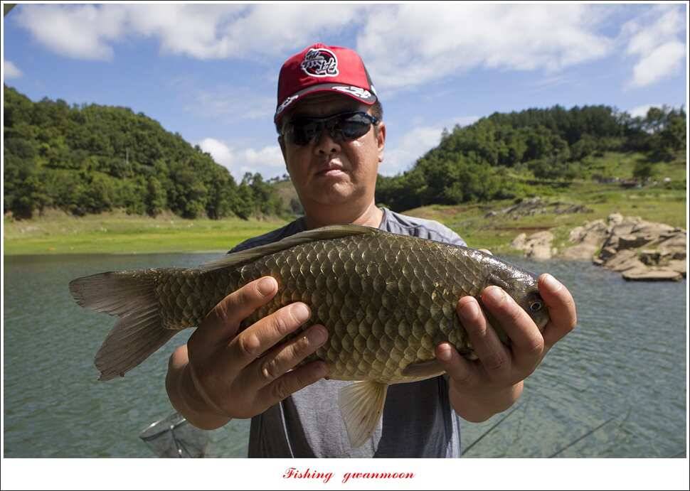 신리 46cm41cm병호 41cm돌감 40 cm (조황조행기 - 특파원조황)