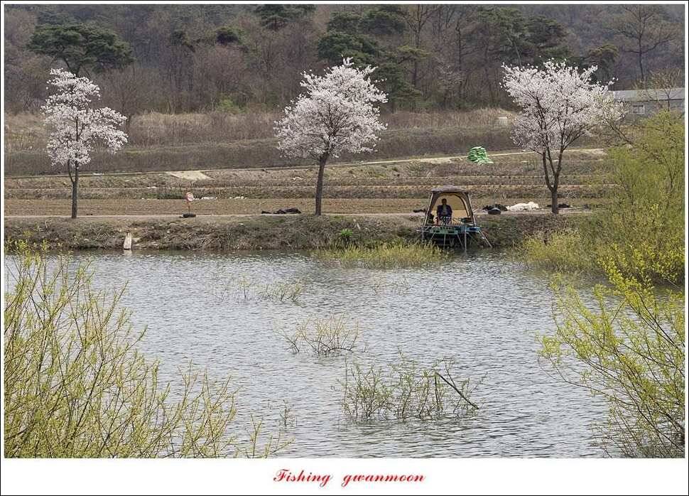 실리곡달천강매전지칠성지 (조황조행기 - 특파원조황)