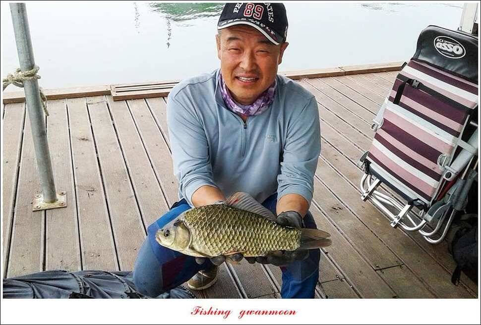한버들 445 cm39 cm돌감실리곡 월척 조황 (조황조행기 - 특파원조황)