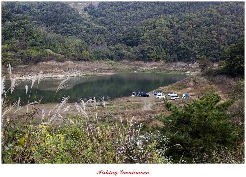늘푸른 키로장어한버들실리곡짱가네 조황 소식 (조황조행기 - 특파원조황)