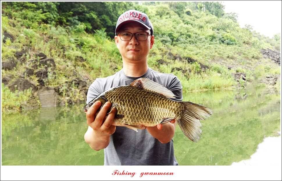 병호 사짜돌감실리곡 월척 조황 (조황조행기 - 특파원조황)