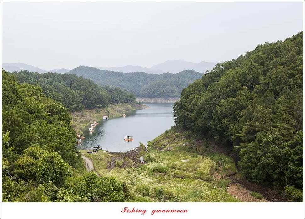 병호 사짜실리곡 사짜늘푸른 사짜 및 키로급 장어돌감 38 cm 및 마릿수 조황 (조황조행기 - 특파원조황)