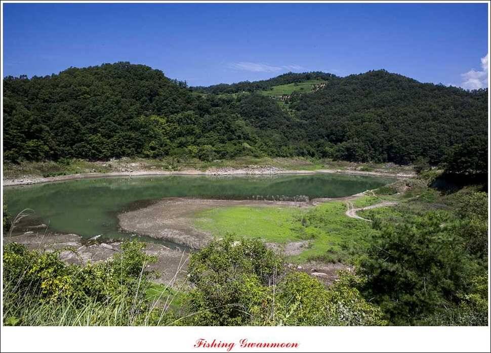 실리곡한버들달천강 조황 (조황조행기 - 특파원조황)