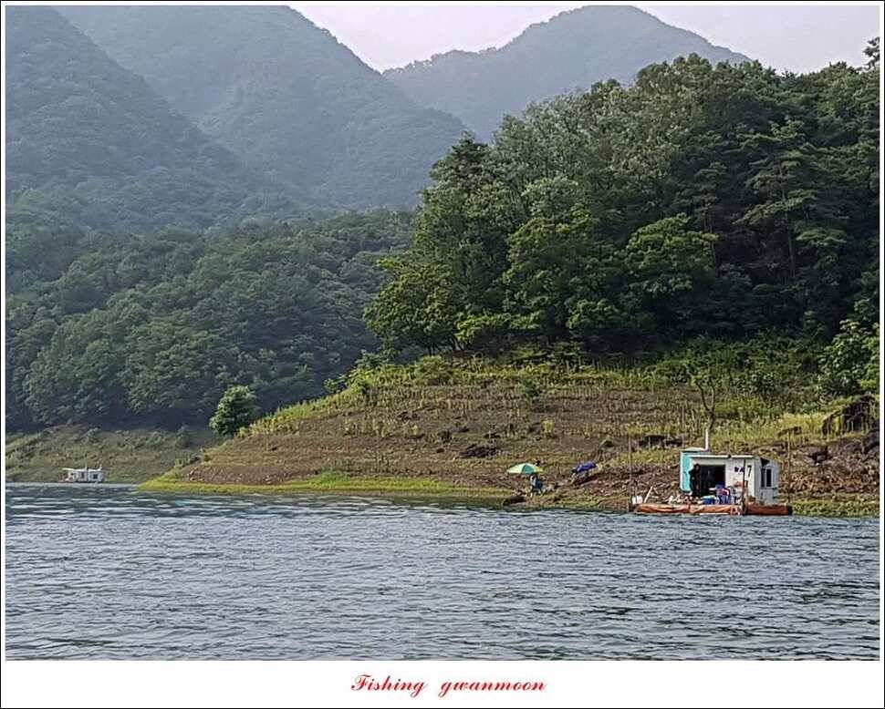 늘푸른 장어화곡지 월척 조황 (조황조행기 - 특파원조황)