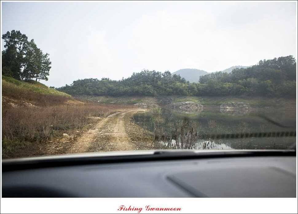 돌감 39 cm노지 마릿수 조황 (조황조행기 - 특파원조황)