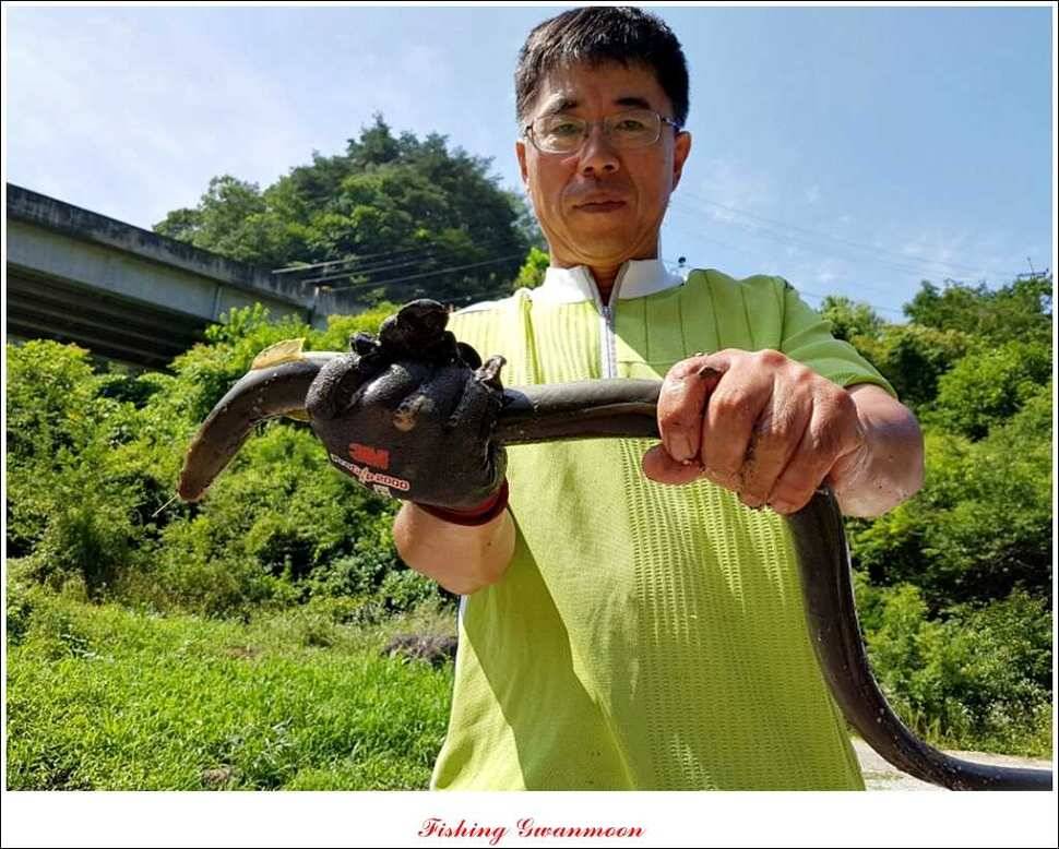 충주호 주말 조황 (조황조행기 - 특파원조황)