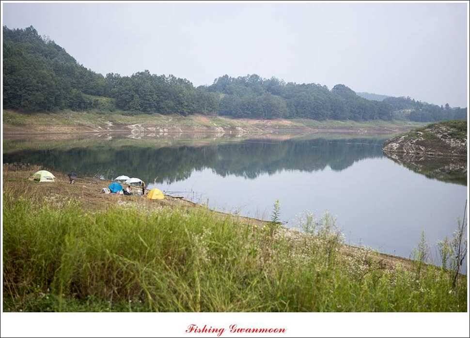 돌감 39 cm노지 마릿수 조황 (조황조행기 - 특파원조황)