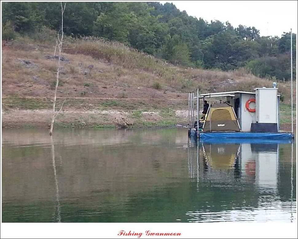 한버들실리곡돌감화곡지 조황 (조황조행기 - 특파원조황)