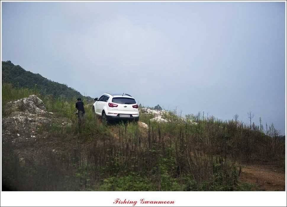 돌감 39 cm노지 마릿수 조황 (조황조행기 - 특파원조황)