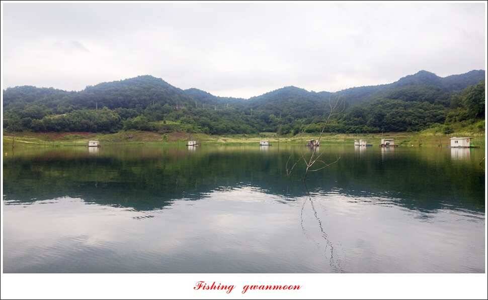 병호 사짜돌감실리곡 월척 조황 (조황조행기 - 특파원조황)
