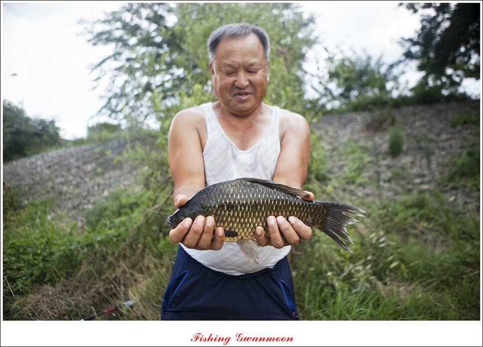 실리곡한버들달천강 조황 (조황조행기 - 특파원조황)