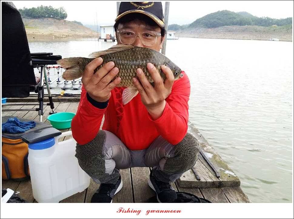 한버들 445 cm39 cm돌감실리곡 월척 조황 (조황조행기 - 특파원조황)
