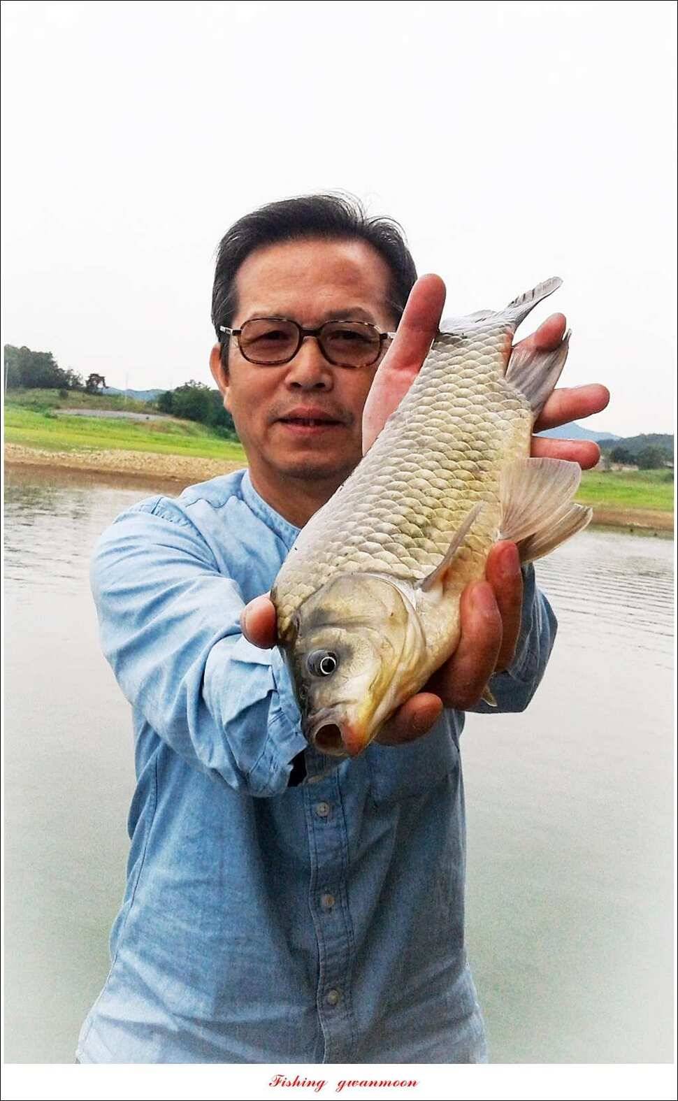 늘푸른 385 cm신매돌감한버들 조황 (조황조행기 - 특파원조황)