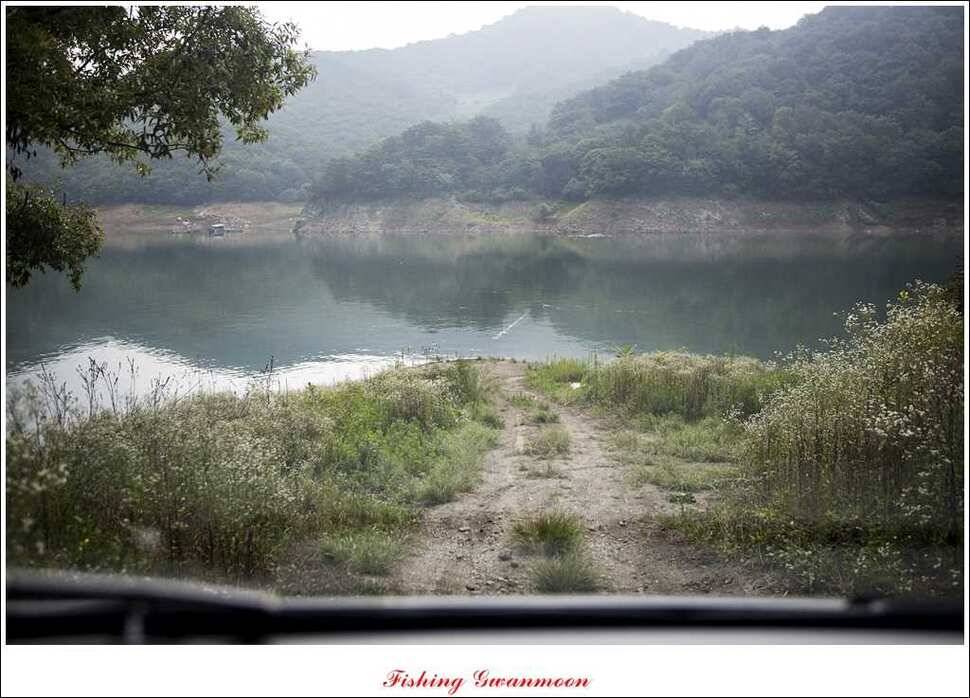 돌감 39 cm노지 마릿수 조황 (조황조행기 - 특파원조황)