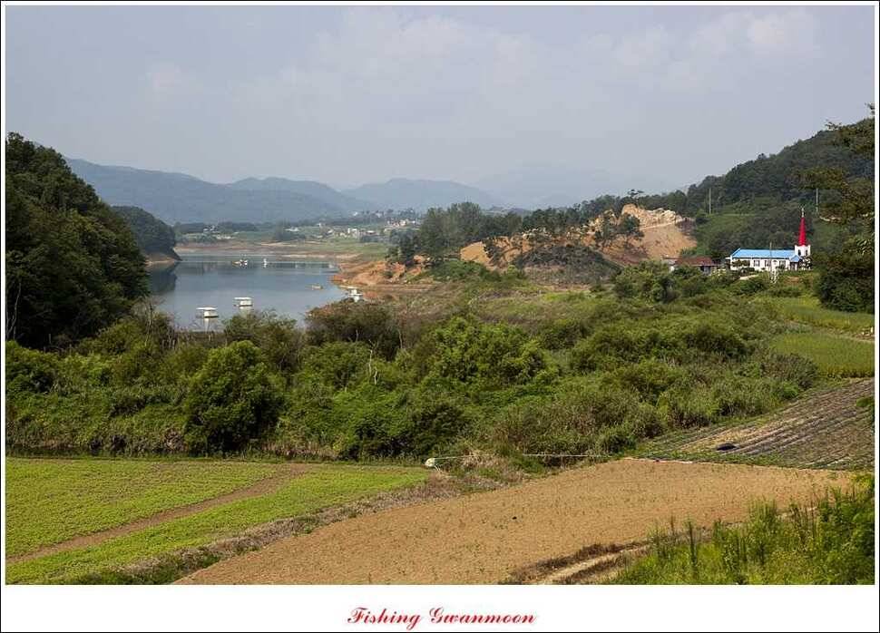 한버들실리곡 월척노지 마릿수 조황 (조황조행기 - 특파원조황)