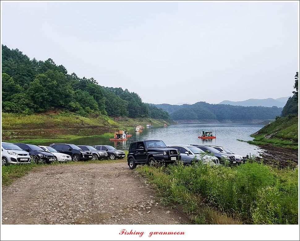 병호 사짜실리곡 사짜늘푸른 사짜 및 키로급 장어돌감 38 cm 및 마릿수 조황 (조황조행기 - 특파원조황)