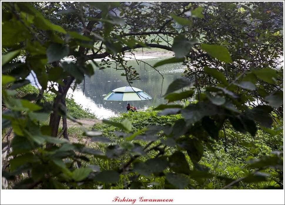 실리곡한버들달천강 조황 (조황조행기 - 특파원조황)