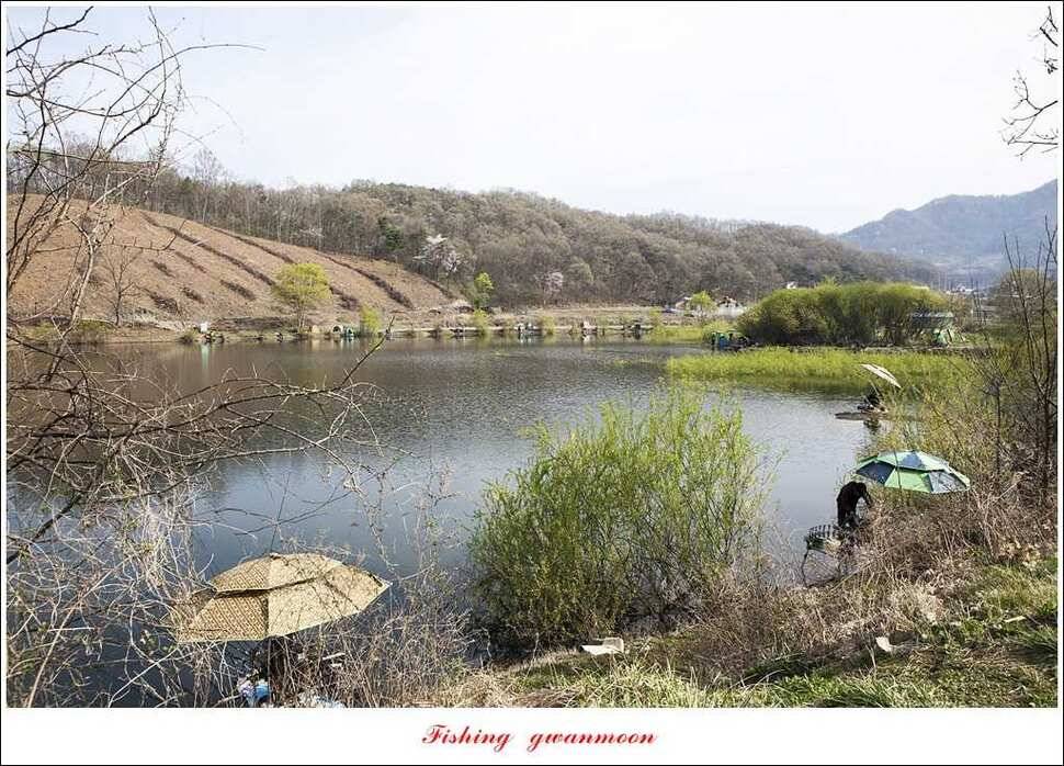 매전지 사짜 화곡지 월척달천강 대박 조황 (조황조행기 - 특파원조황)
