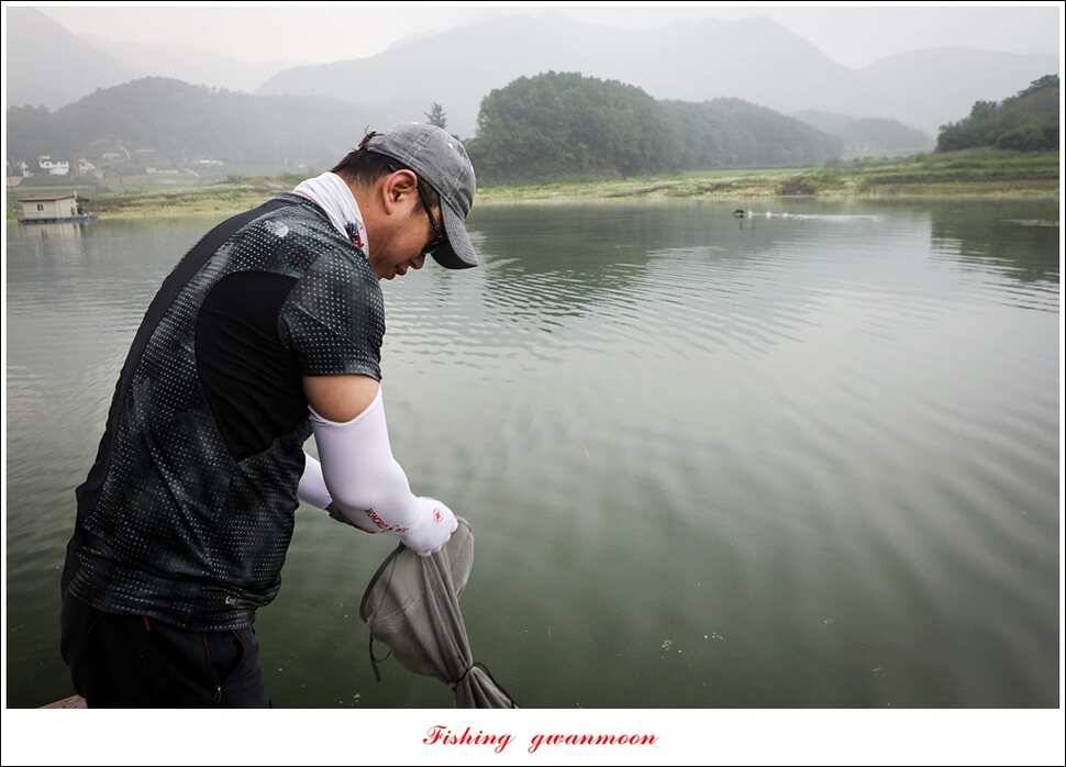 제일 사짜 마릿수화곡지 월척 마릿수 (조황조행기 - 특파원조황)