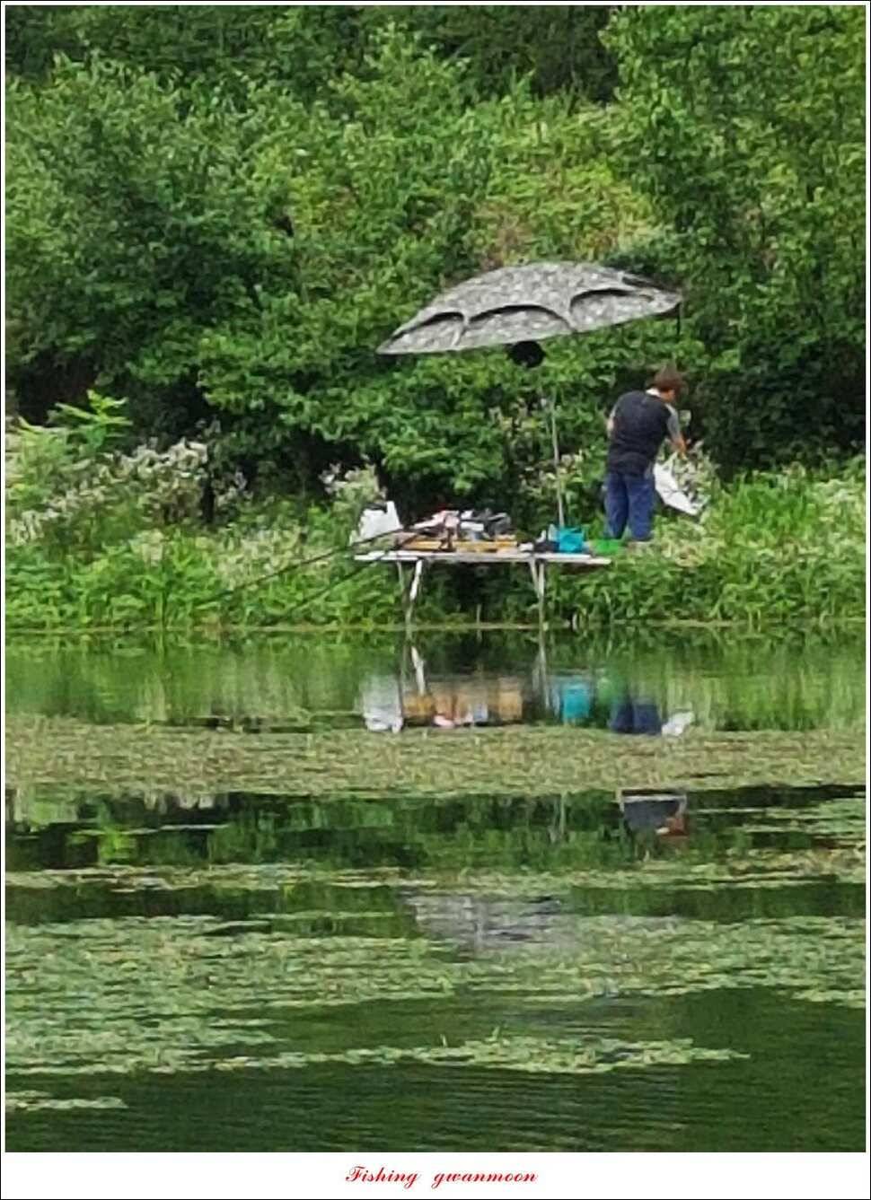 늘푸른 장어화곡지 월척 조황 (조황조행기 - 특파원조황)