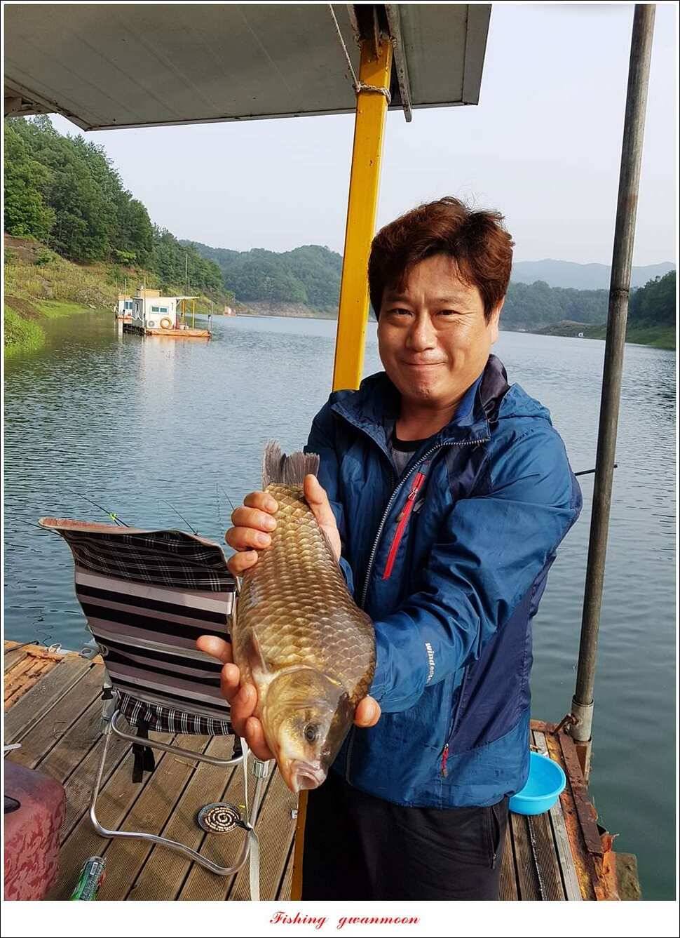 병호 사짜실리곡 사짜늘푸른 사짜 및 키로급 장어돌감 38 cm 및 마릿수 조황 (조황조행기 - 특파원조황)