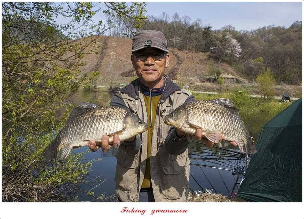 매전지 사짜 화곡지 월척달천강 대박 조황 (조황조행기 - 특파원조황)