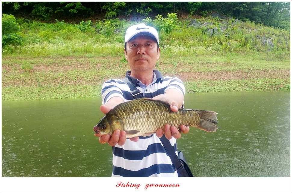 병호 사짜돌감실리곡 월척 조황 (조황조행기 - 특파원조황)