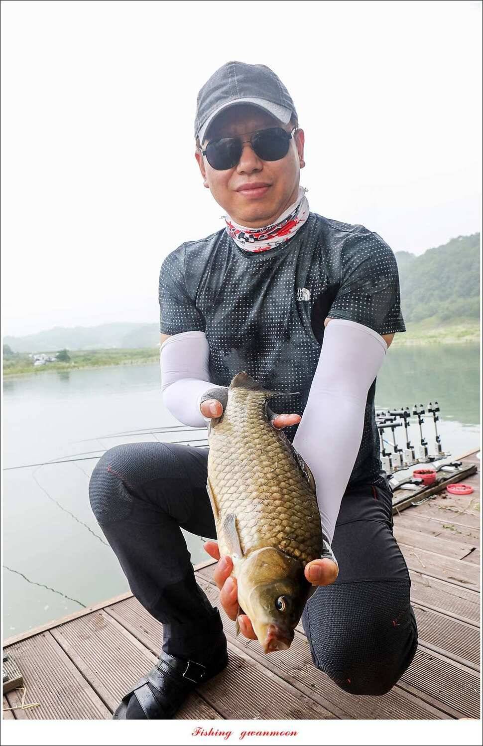 제일 사짜 마릿수화곡지 월척 마릿수 (조황조행기 - 특파원조황)