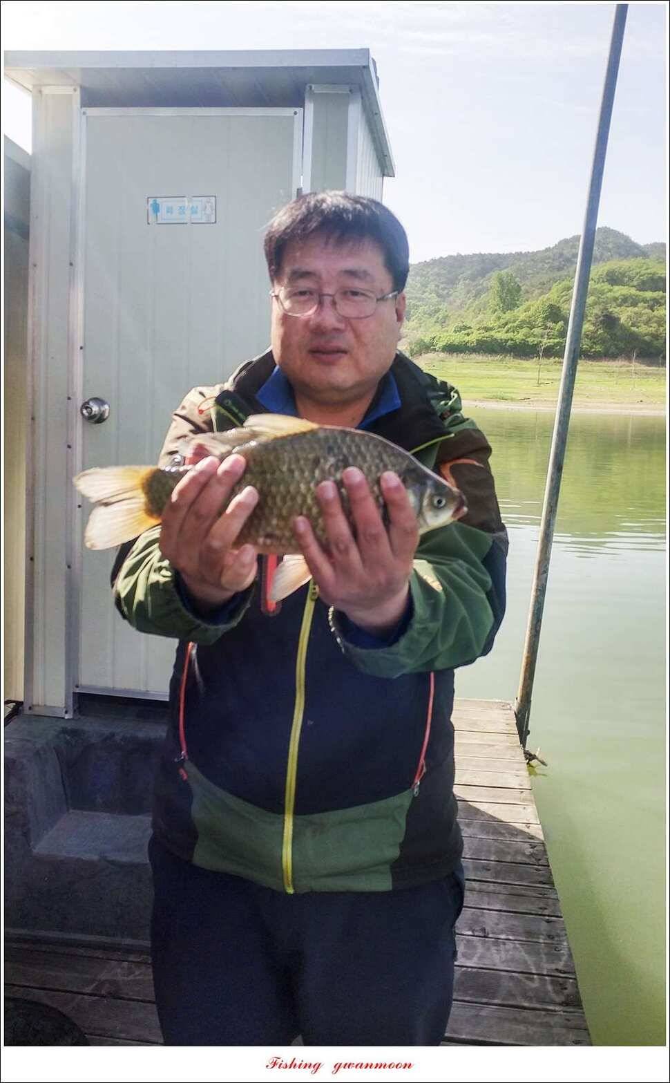늘푸른돌감화곡지 월척 조황 (조황조행기 - 특파원조황)