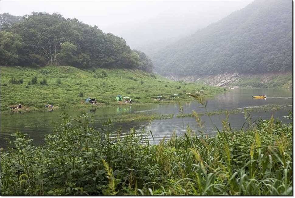 명서 사짜늘푸른 장어 (조황조행기 - 특파원조황)