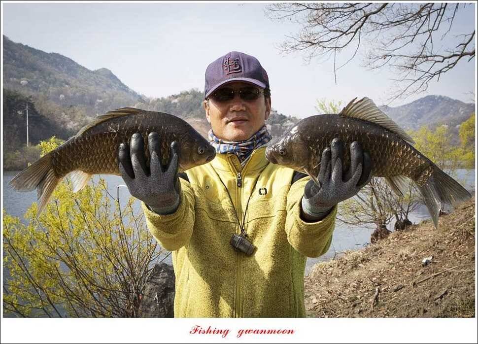 매전지 사짜 화곡지 월척달천강 대박 조황 (조황조행기 - 특파원조황)