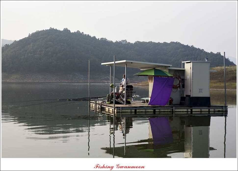 한버들실리곡 월척노지 마릿수 조황 (조황조행기 - 특파원조황)