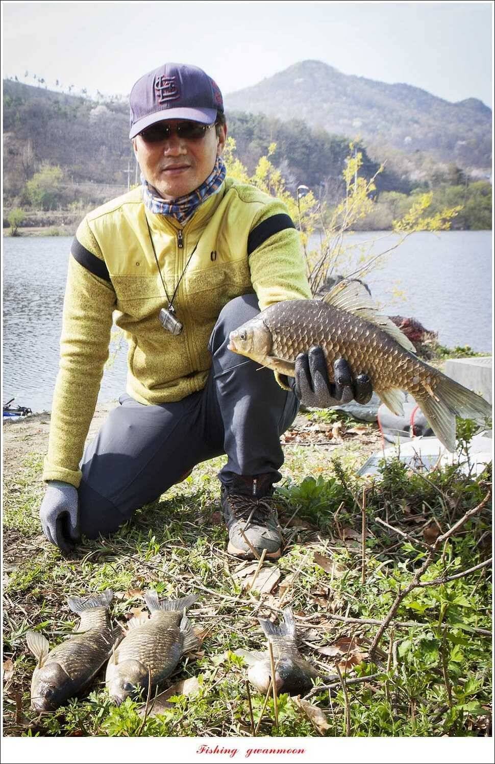 매전지 사짜 화곡지 월척달천강 대박 조황 (조황조행기 - 특파원조황)