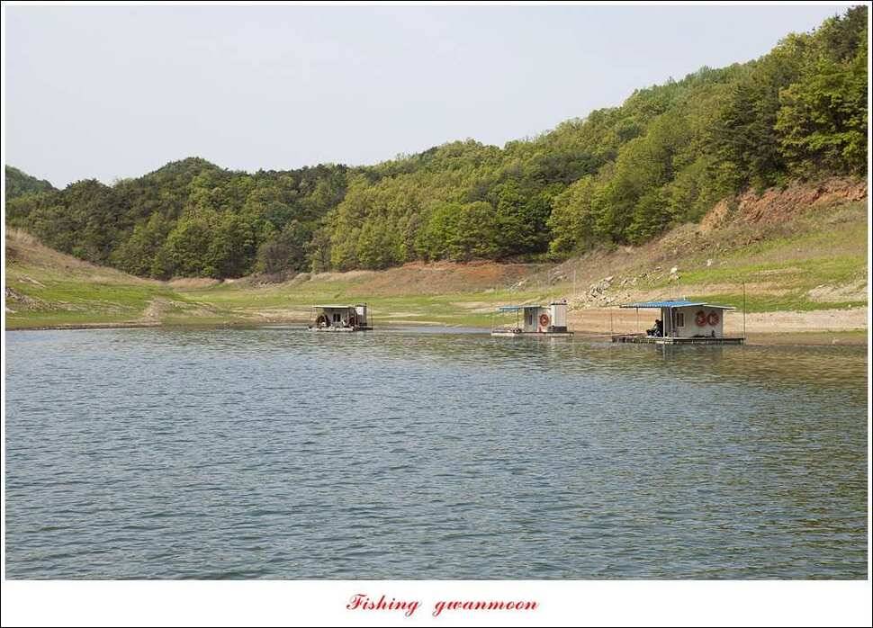 실리곡 마릿수 월척한버들 월척돌감짱가네 조황 (조황조행기 - 특파원조황)