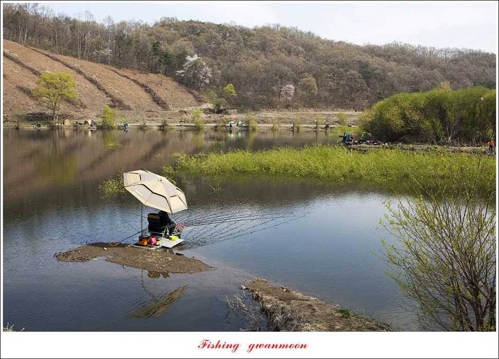 매전지 사짜 화곡지 월척달천강 대박 조황 (조황조행기 - 특파원조황)