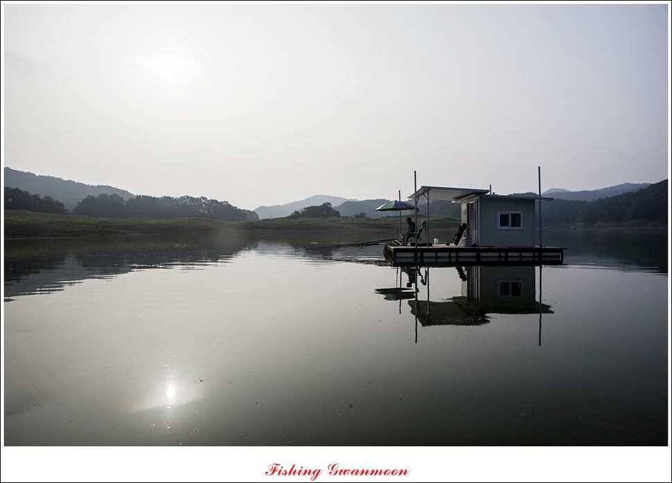 한버들실리곡 월척노지 마릿수 조황 (조황조행기 - 특파원조황)