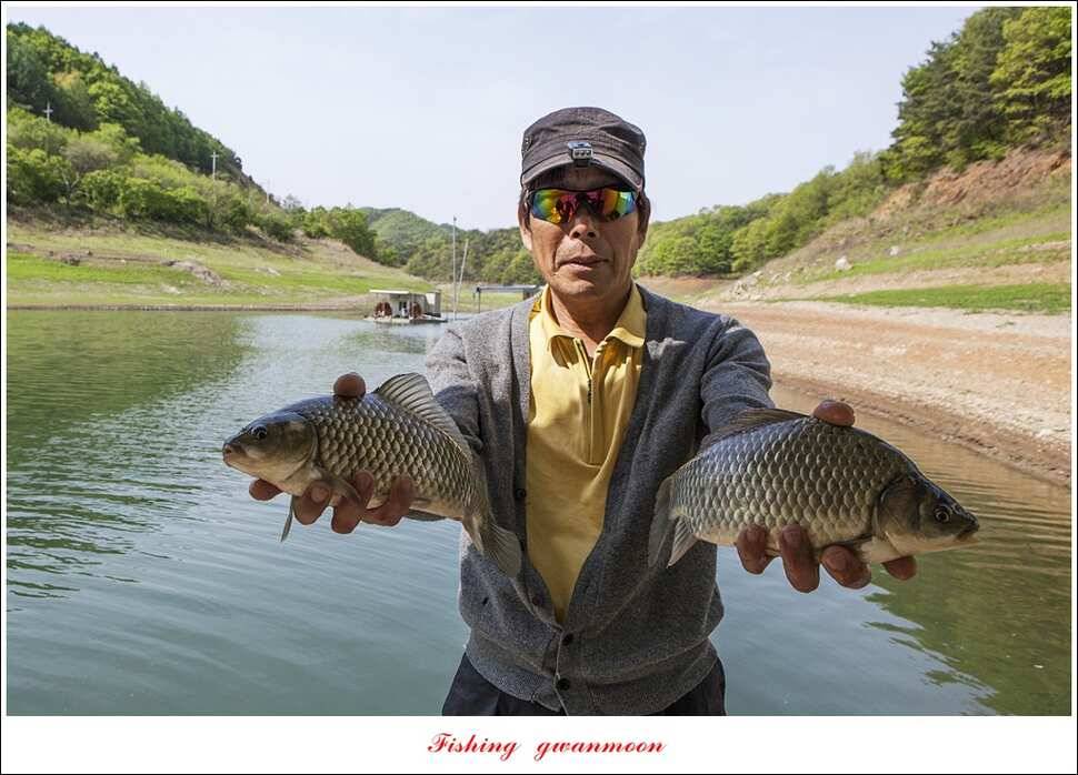 실리곡 마릿수 월척한버들 월척돌감짱가네 조황 (조황조행기 - 특파원조황)