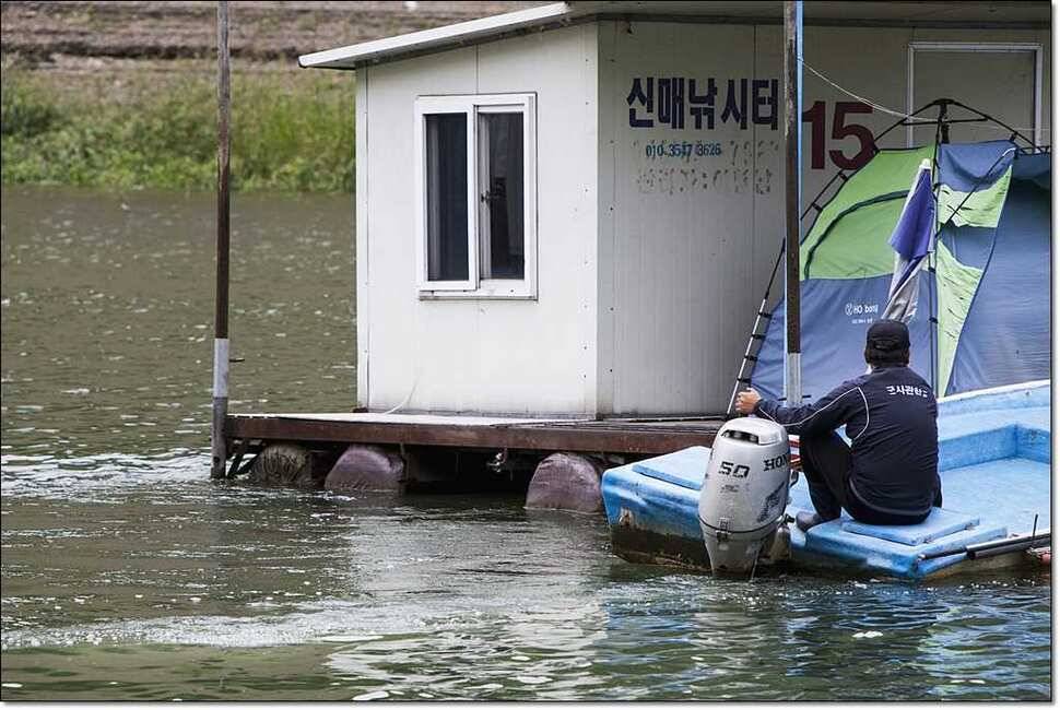 신매 435cm37cm병호 월척 대박 (조황조행기 - 특파원조황)