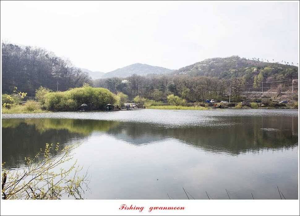 매전지 사짜 화곡지 월척달천강 대박 조황 (조황조행기 - 특파원조황)